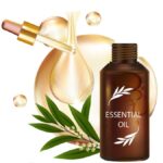 🌿 Hair Oils That Actually Work: Our Top Picks